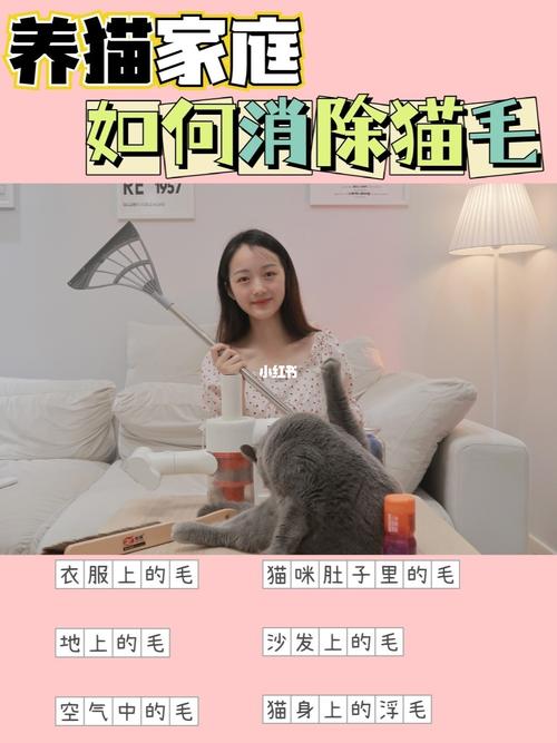 养猫的房间怎么清理猫毛？（养猫家庭怎么去毛发）