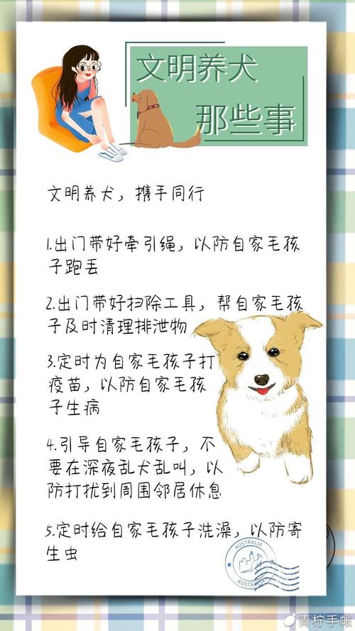 小房子怎么养狗？（如何养学养狗）