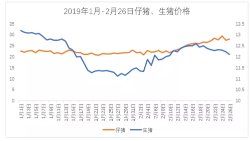 养母猪生小猪卖，有没有前景，说说理由？（全国e网生猪价格）