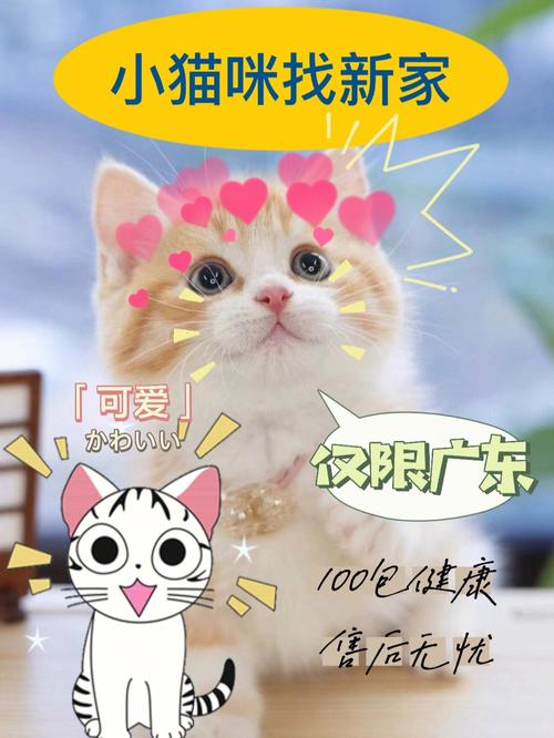 2021猫咪的节日？（2021可以养猫吗温州）