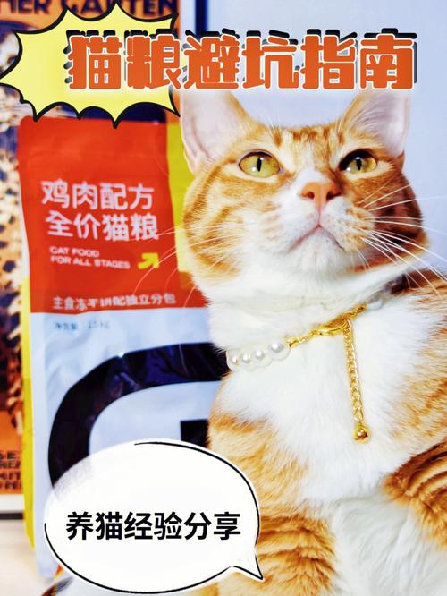 为什么猫耳fm没有猫粮？（直播间养猫在哪里）