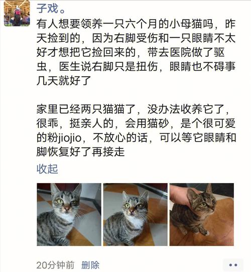 常熟市125公交要经过东南医院吗？（江苏常熟领养猫猫）