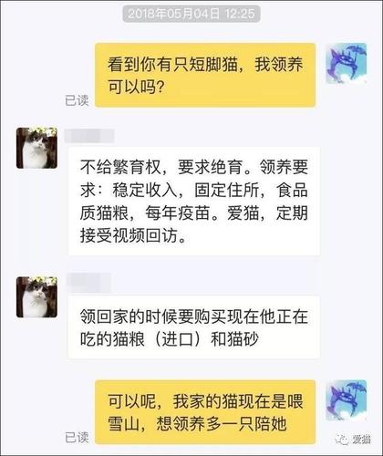 淘宝猫咪领养是真的吗？（收养猫被骗视频大全）