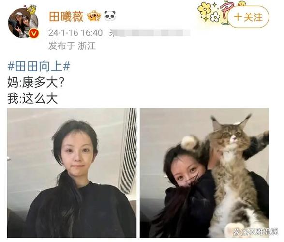 家人们牛牛是冷白皮吗？（哪些明星在家抠门养猫）