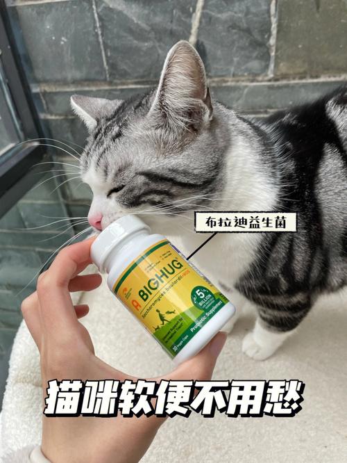 猫咪便秘的症状表现，益生菌可以解决猫咪的便秘问题吗？（养猫用什么益生菌消毒）