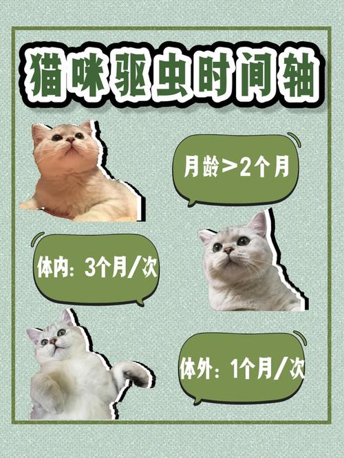 猫咪驱虫间隔的时间？（养猫多久能驱虫啊）