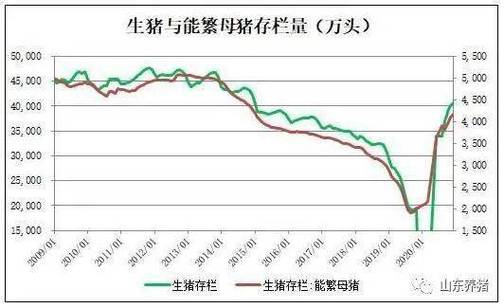 2020年6月安徽省生猪存栏数量？（今日安徽生猪走势）