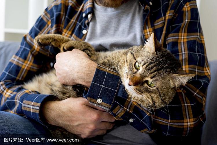 喜欢猫的男人都是什么心理？（男士为啥喜欢养猫咪）