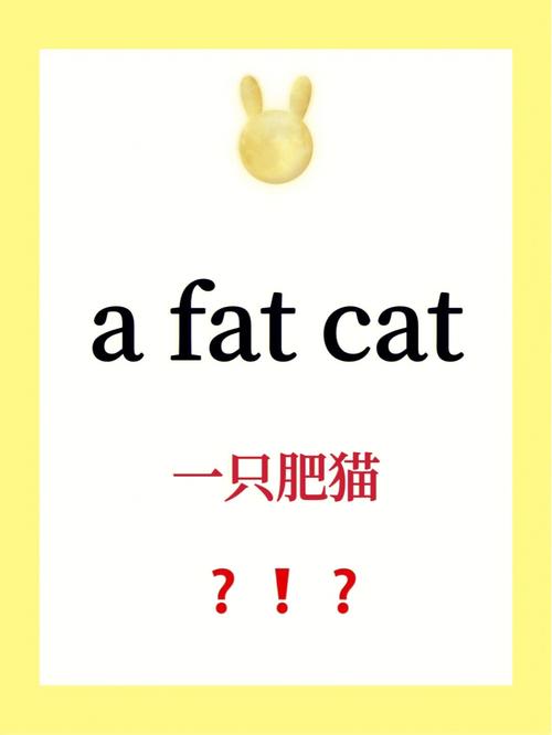 a pig和a fat cat的运用区别？（上课可以养猫吗英文）