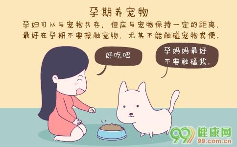 怀孕初期可以养狗吗？（宠物养狗计划）