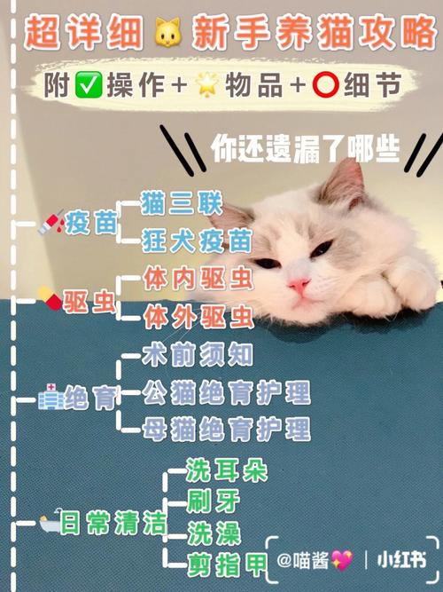 养猫人要吃驱虫药吗？（养猫需要每年驱虫吗）