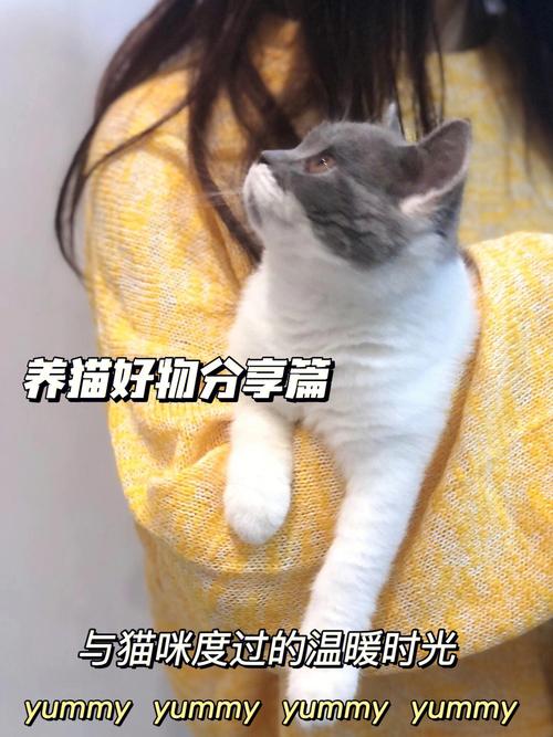 日本养猫治愈系的简短句子？（日本农村养猫视频播放）