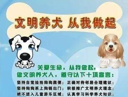 来养我什么意思？（养狗潜在含义是养孩子）